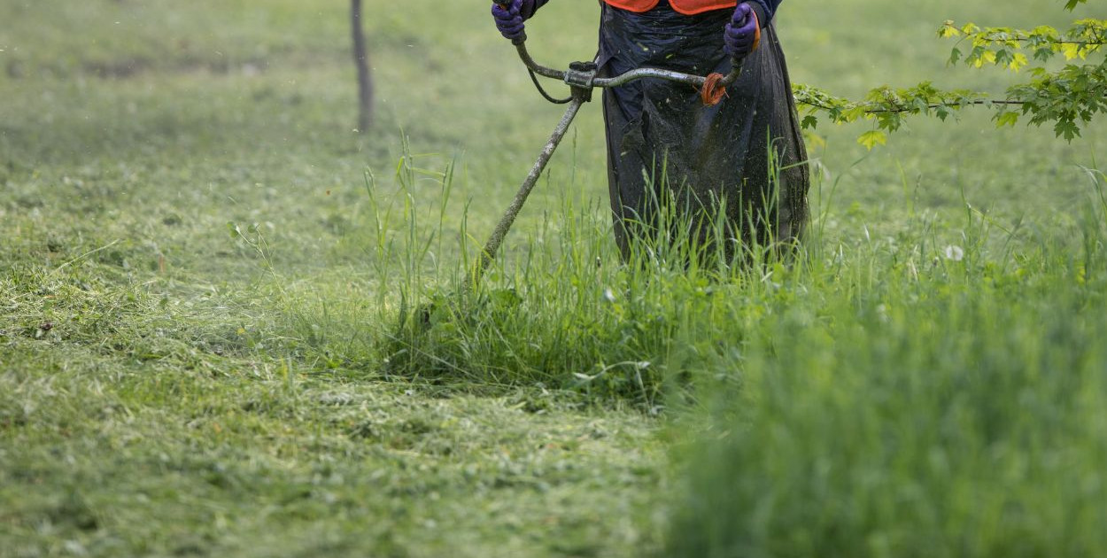 Majówkowy koszmar sąsiadów: Kosisz trawę między 1 a 4 maja? Mandat i konflikt gwarantowane