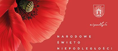 Grudziądz świętuje Niepodległą! Program obchodów 106. rocznicy-3592