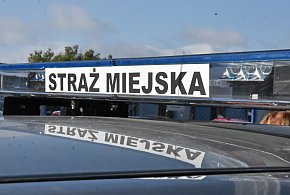 Kombinujesz z piecem? Zapuka strażnik i możesz zapłacić 5 tys. zł kary-93851