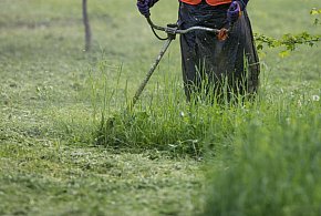 Majówkowy koszmar sąsiadów: Kosisz trawę między 1 a 4 m - 95444