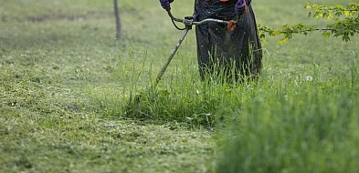 Majówkowy koszmar sąsiadów: Kosisz trawę między 1 a 4 maja? Mandat i konflikt gwar-95444