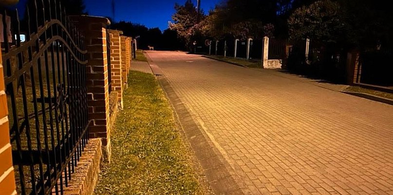 Wilczy Alert pod Grudziądzem! Nietypowo śmiały drapieżnik w Nowej Wsi - 95551
