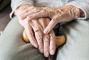 Nowa stawka najniższej emerytury. Rząd ujawnił kwotę-96204