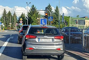 Egzamin na prawo jazdy będzie inny. Od 1 lipca nowe zasady-96389