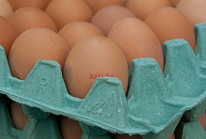 Salmonella na jajach znanej marki. Nie jedz, jeśli masz je w lodówce!-96528