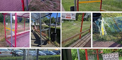 Wakacyjna plaga wandalizmu w Grudziądzu. To czarna seria na osiedlu Lotnisko-96723