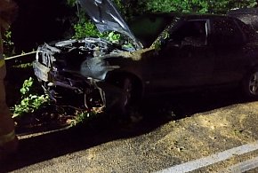 Nocny wypadek pod Grudziądzem. Samochód wbił się w drzewo, które runęło na drogę-97069