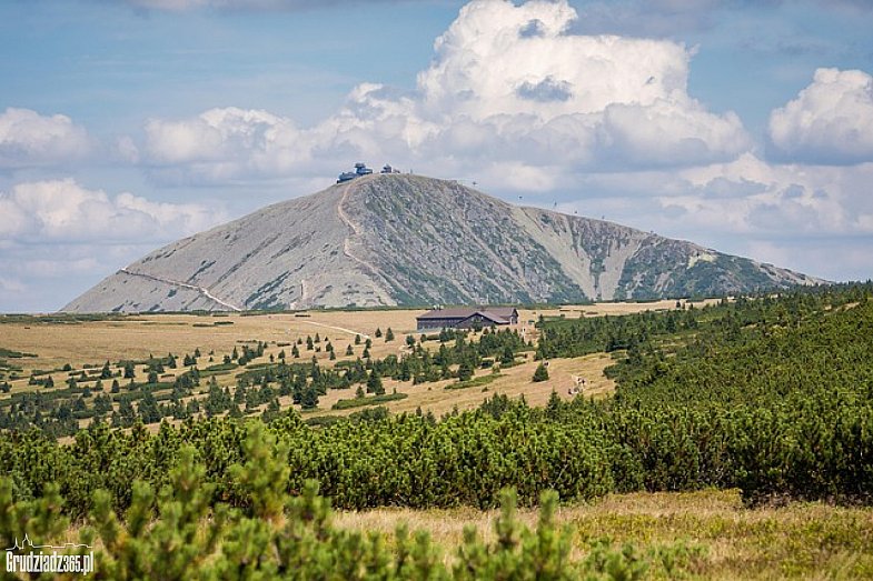 zdjecie ogloszenia