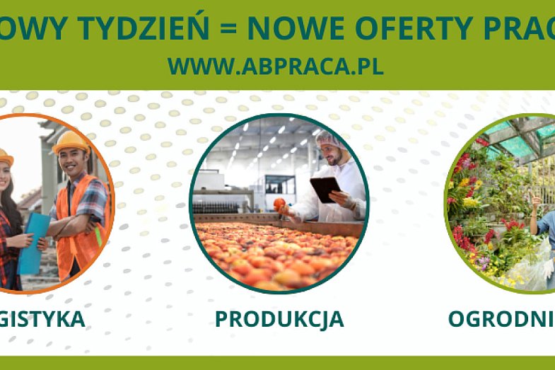 zdjecie ogloszenia