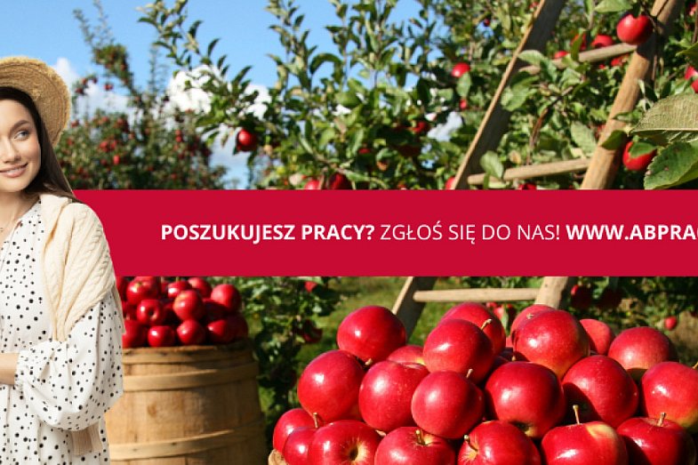 zdjecie ogloszenia