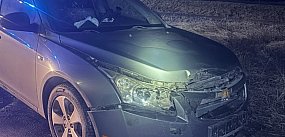 Mały Rudnik: Samochód osobowy zderzył się z dzikiem na