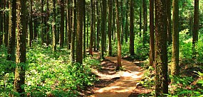 UE/ KE zagroziła Polsce karami w związku z niewykonanie