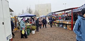 Co dalej z targowiskiem przy Kosynierów? Radny apeluje