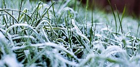 IMGW wydał ostrzeżenia przed przymrozkami dla 15 wojewó