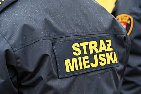 Zapuka strażnik, zapłacisz karę. Ruszyły kontrole w całej Polsce-98424