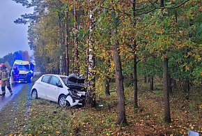 Wypadek w Turznicach. Samochód osobowy uderzył w drzewo-98586