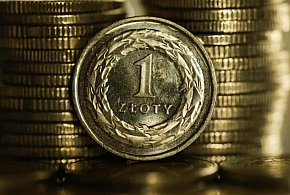 Rada Polityki Pieniężnej obniżyła stopy procentowe o 0,25 pkt proc.-98800