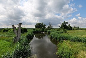 Co dalej z nowym parkiem narodowym? Minister klimatu zdradza plan po wecie-98890
