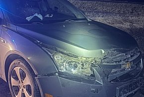 Mały Rudnik: Samochód osobowy zderzył się z dzikiem na DK55. Zwierzę nie przeżyło-98942