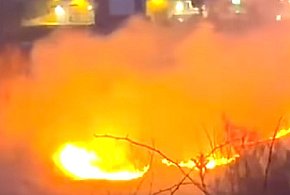 Pożar traw na Kalinkowej. Strażacy: kary są surowe, a zagrożenie ogromne