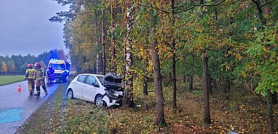 Wypadek w Turznicach. Samochód osobowy uderzył w drzewo-98586