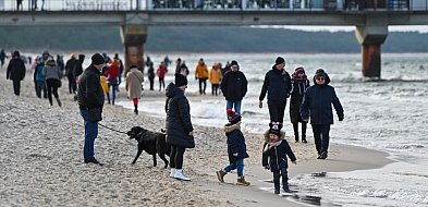 Gminy masowo rezygnują z opłaty za psa. MF o przyszłości tej daniny-99483