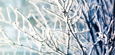 Ostrzeżenie pierwszego stopnia dla miejscowości Grudziądz i dla okolic-99737