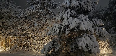 Ostrzeżenie pierwszego stopnia dla miejscowości Grudziądz i dla okolic-99799