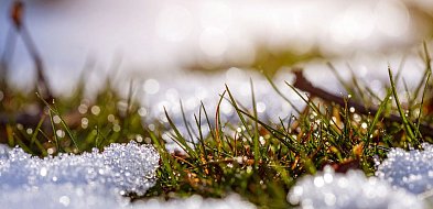 Czy wiosna przyjdzie wcześniej niż zwykle? Prognozy pogodowe na luty