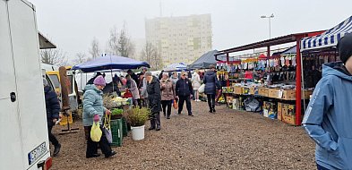 Co dalej z targowiskiem przy Kosynierów? Radny apeluje o konsultacje, by uniknąć p