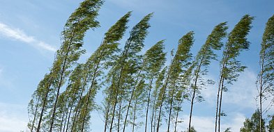 Ostrzeżenie pierwszego stopnia dla miejscowości Grudziądz i dla okolic