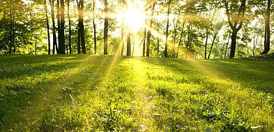 Majówka wyjątkowo ciepła i słoneczna; w centrum i na zachodzie nawet do 28 st. C