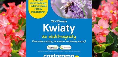 22-23 maja: mieszkańcy znów zamienią elektroodpady na kwiaty miododajne