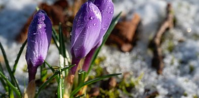 W weekend ślisko niemal w całym kraju; od środy prognozowany wzrost temperatury