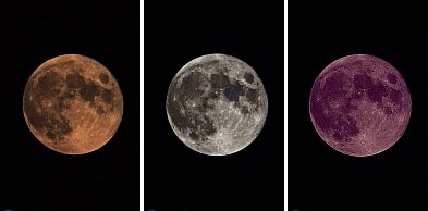 Pełnia Robaczego Księżyca nad Grudziądzem! Właśnie teraz trwa niezwykły spektakl