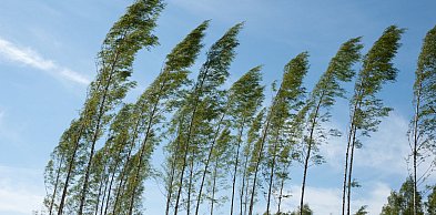Ostrzeżenie pierwszego stopnia dla miejscowości Grudziądz i dla okolic