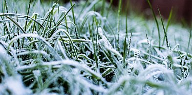 IMGW wydał ostrzeżenia przed przymrozkami dla 15 województw