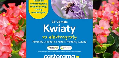 22-23 maja: mieszkańcy znów zamienią elektroodpady na kwiaty miododajne