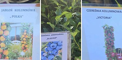 Jesień w ogrodzie? Wykorzystaj doświadczenie i bogactwo odmian z Centrum Ogrodnicz-98178