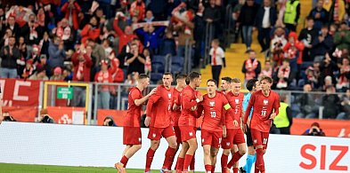 Polska - Nowa Zelandia 1:0 w towarzyskim meczu piłkarskim. Bramkę zdobył...-98340