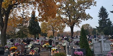 Tymczasowa organizacja ruchu na Wszystkich Świętych w Grudziądzu. Sprawdź, jak ...-98657