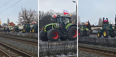 Rolnicy wyjechali na ulice Grudziądza. Raport z protestu i sytuacja w kraju-99661