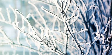 Ostrzeżenie pierwszego stopnia dla miejscowości Grudziądz i dla okolic-99737