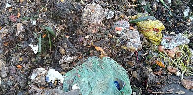 Dlaczego Grudziądz mówi „nie” bio-workom? Ratusz przerywa milczenie: „Chodzi o ...