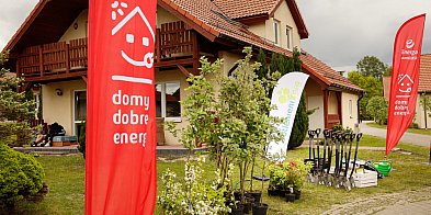 Wydrzno zazieleni się w sobotę. Wolontariusze posadzą 8-98062