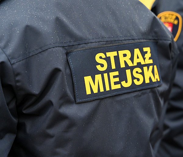 Zapuka strażnik, zapłacisz karę. Ruszyły kontrole w całej Polsce-98424