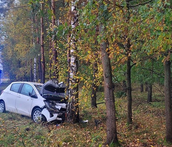 Wypadek w Turznicach. Samochód osobowy uderzył w drzewo-98586