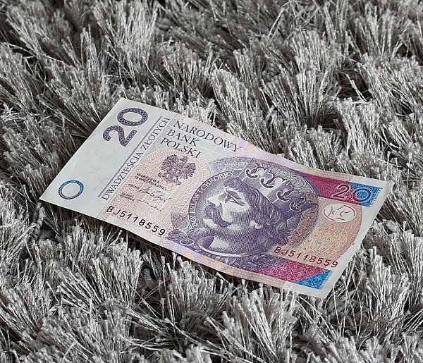 Nowy banknot o nominale 20 zł. Wchodzi do obiegu w tym tygodniu-98808