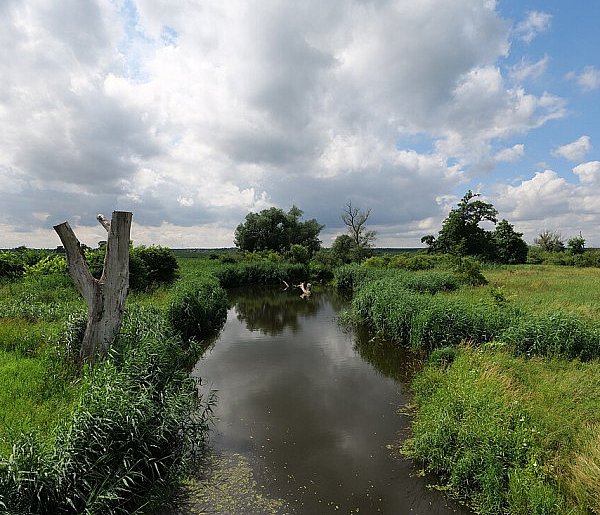 Co dalej z nowym parkiem narodowym? Minister klimatu zdradza plan po wecie-98890