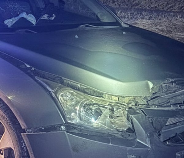 Mały Rudnik: Samochód osobowy zderzył się z dzikiem na DK55. Zwierzę nie przeżyło-98942